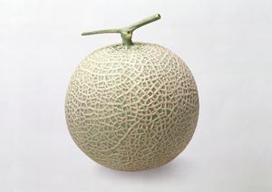 新橋で楽しむ!牡蠣食べ放題と海鮮BBQの魅力「かき小屋 新橋」